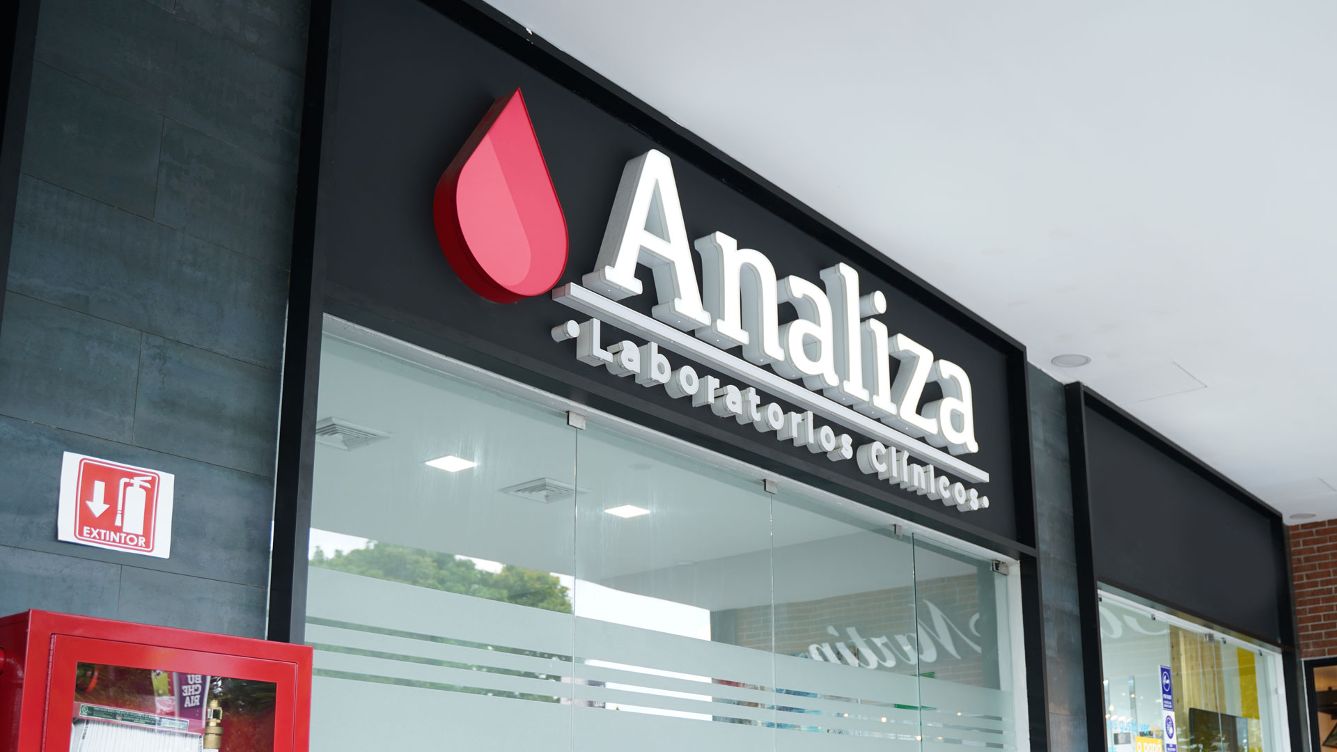 Analiza